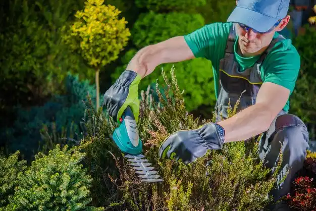 landscaping services Schroon Lake